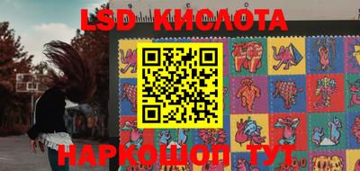 шишки Заводоуковск