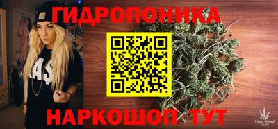 шишки Заводоуковск