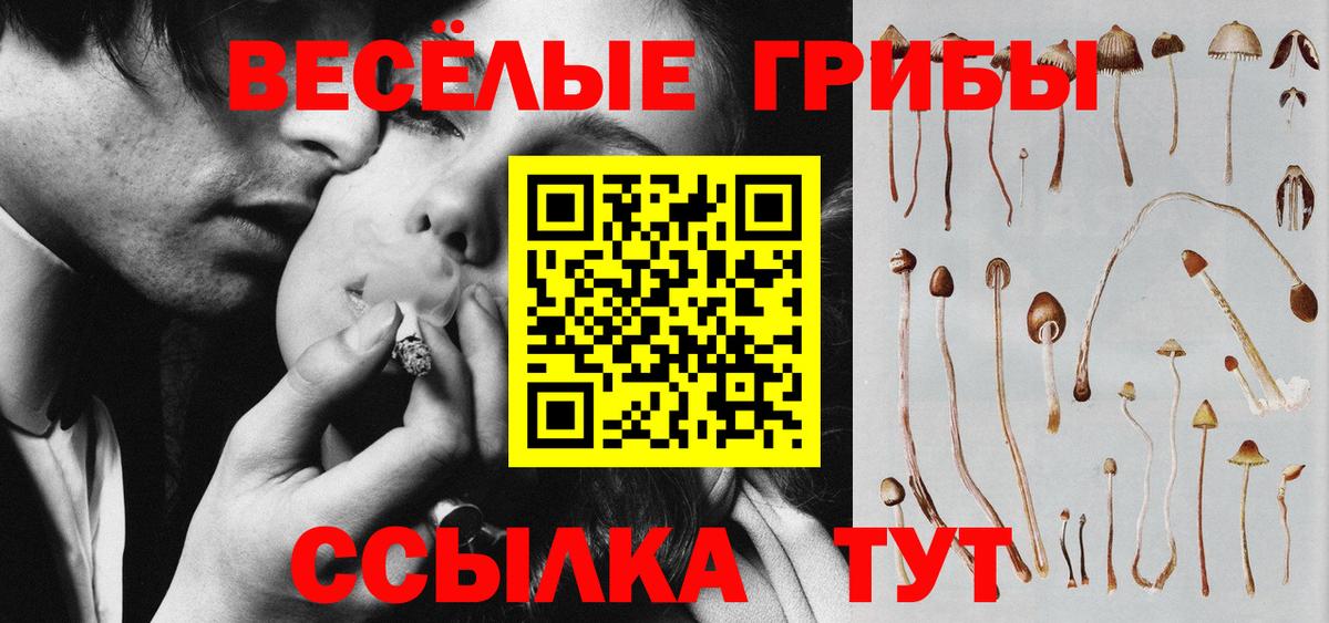 Галлюциногенные грибы MAGIC MUSHROOMS Курчалой