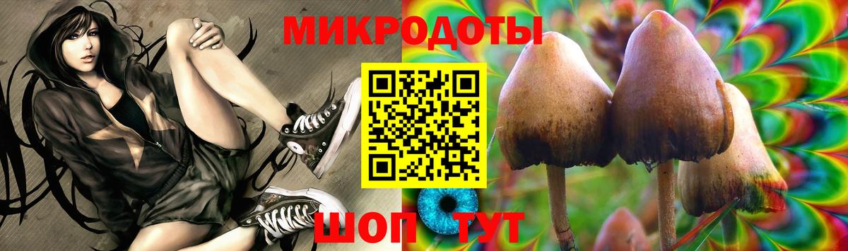 Галлюциногенные грибы Magic Shrooms  Вход с VPN  Курчалой 